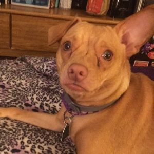 Meet your Posher, Christie